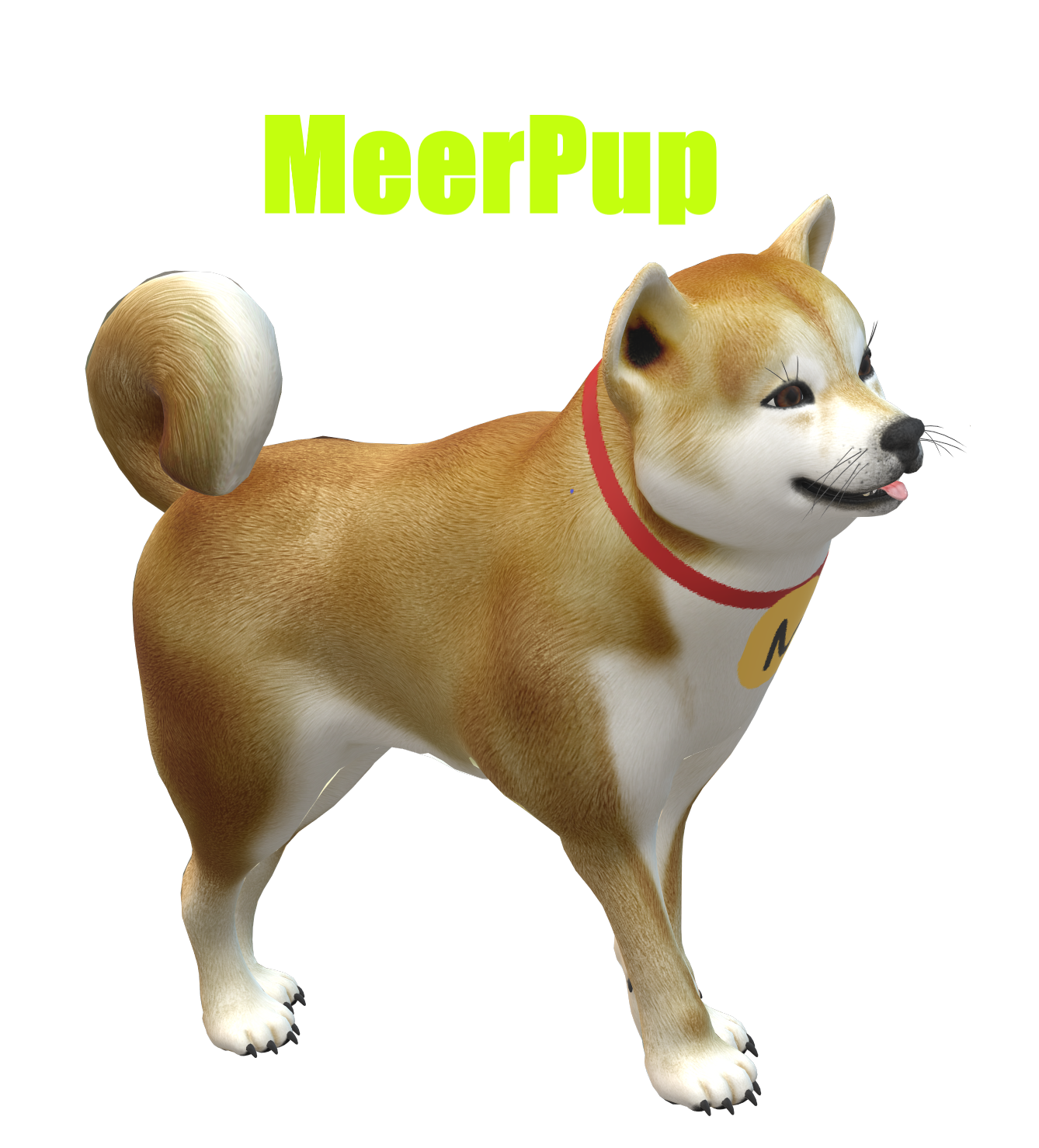 MeerPup Logo